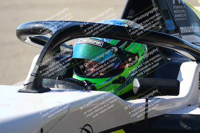 media/Nov-16-2024-CalClub SCCA (Sat) [[641f3b2761]]/Group 2/Grid and Front Straight/